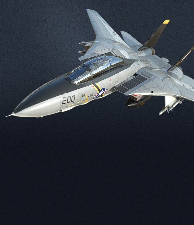 F-14ST picture
